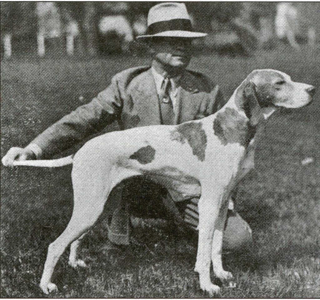 100 Years of Best in Show